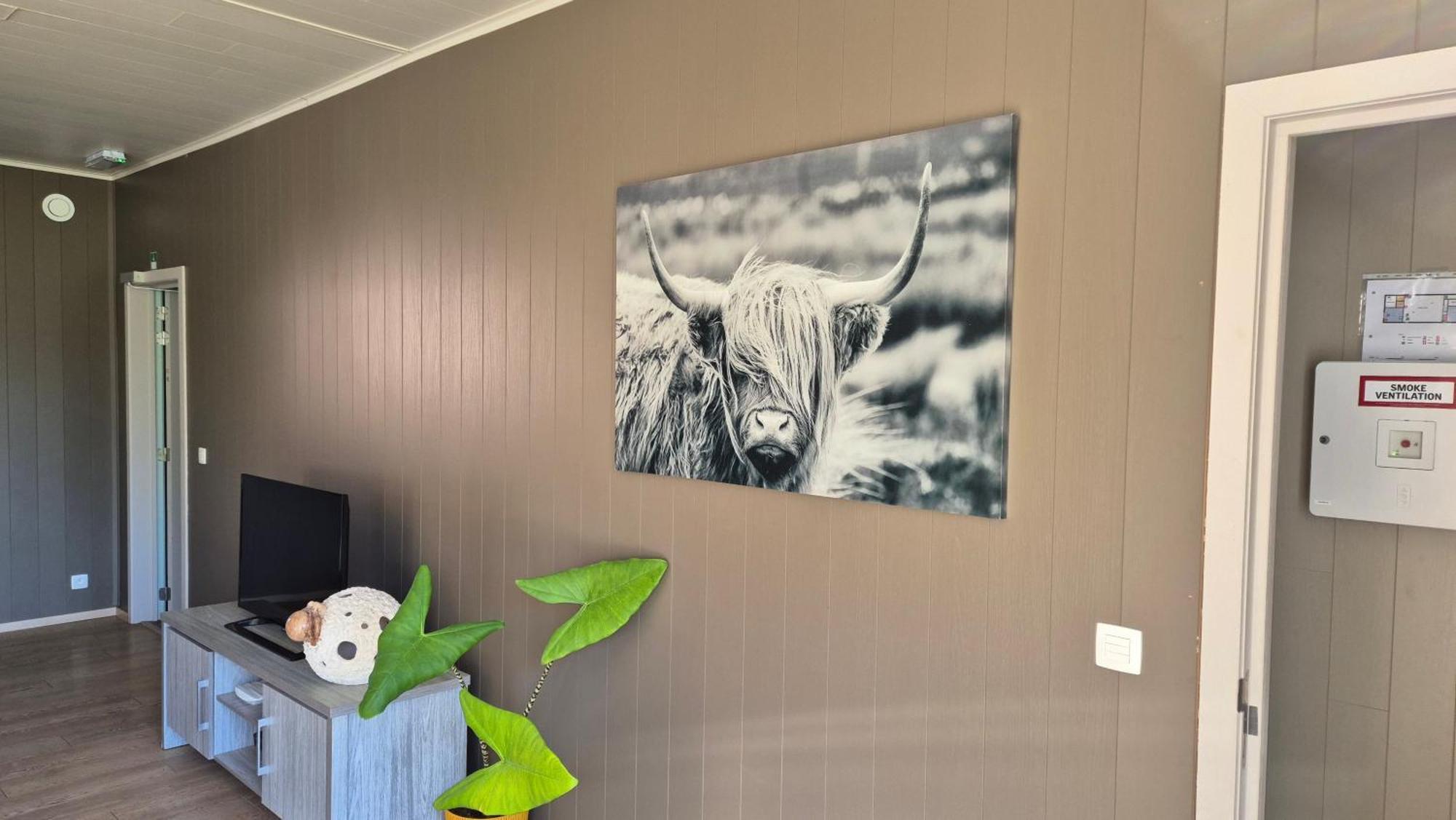B&B De Dulle Koe Waregem Ngoại thất bức ảnh